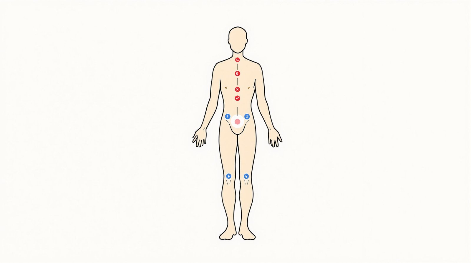 Découvrez les points vitaux essentiels à connaître pour mieux comprendre le corps humain et réagir efficacement en cas d'urgence.